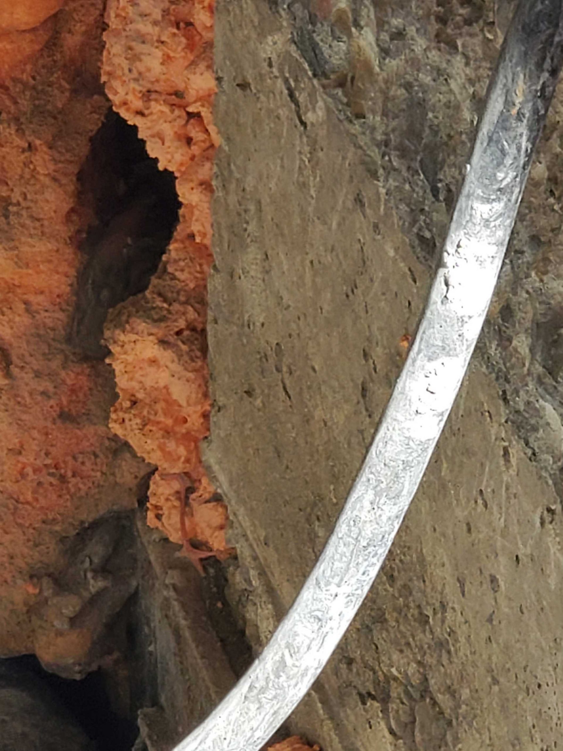 Signs of a Rodent Infestation in Your Seattle Home or Commercial Business Buildings