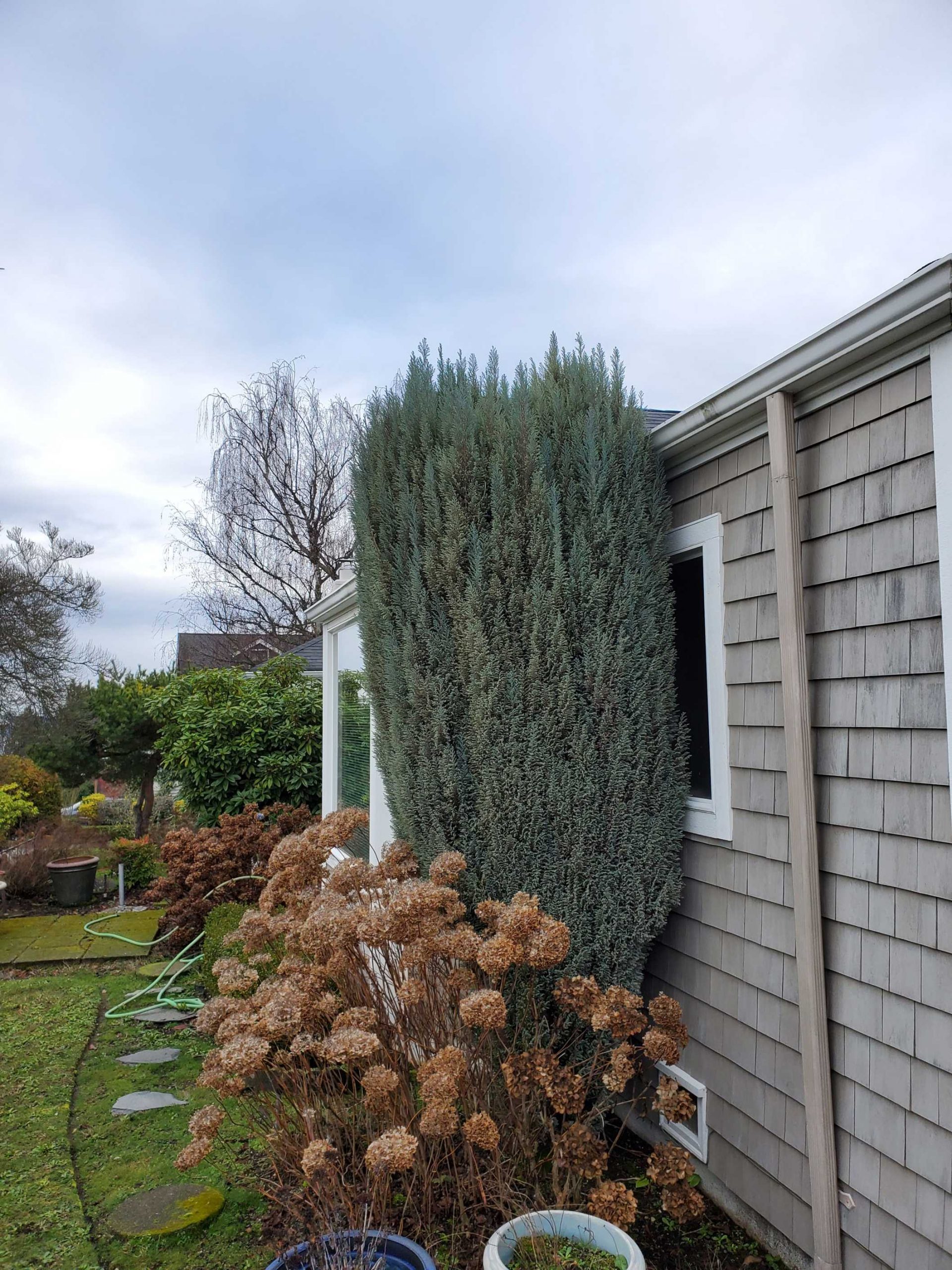 20240103 1205581 scaled