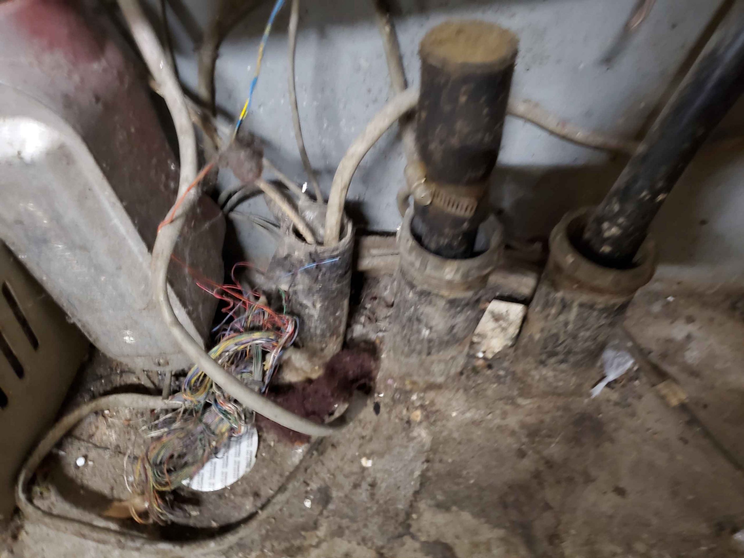 20240122 1644521 scaled