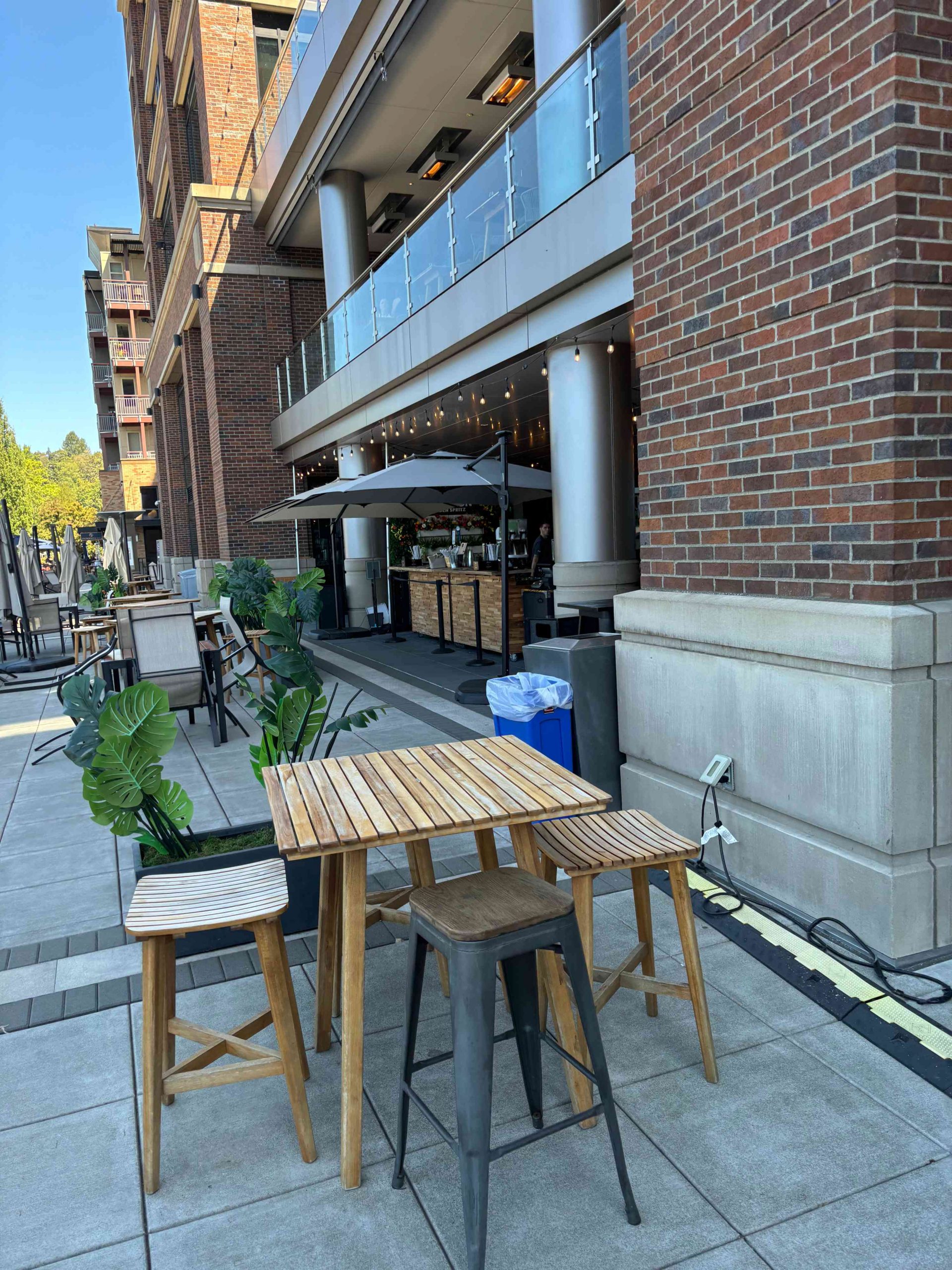 Commercial Pests Control