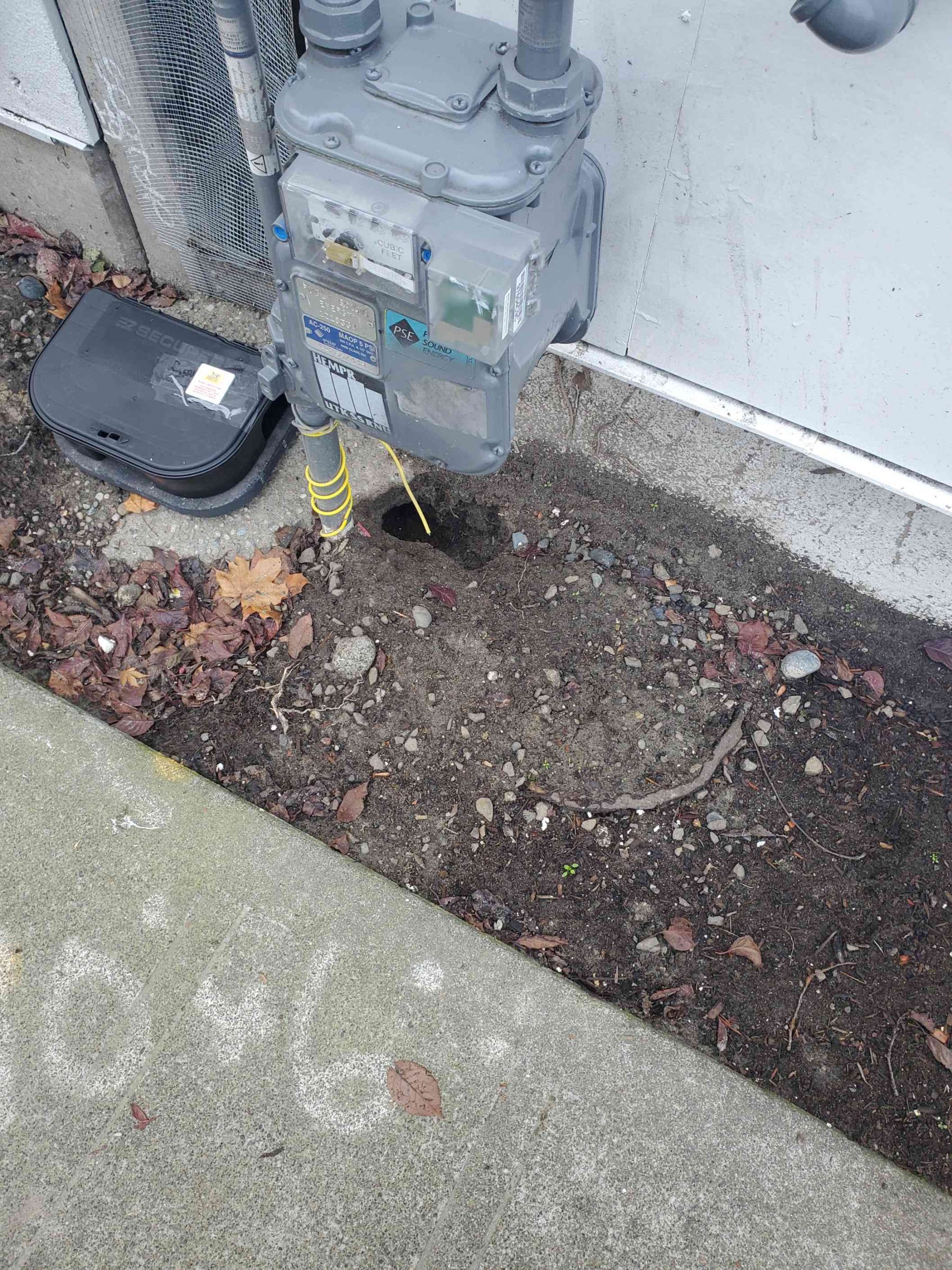 Commercial exterminators king county1 scaled