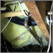 Mice crawlspace extermination