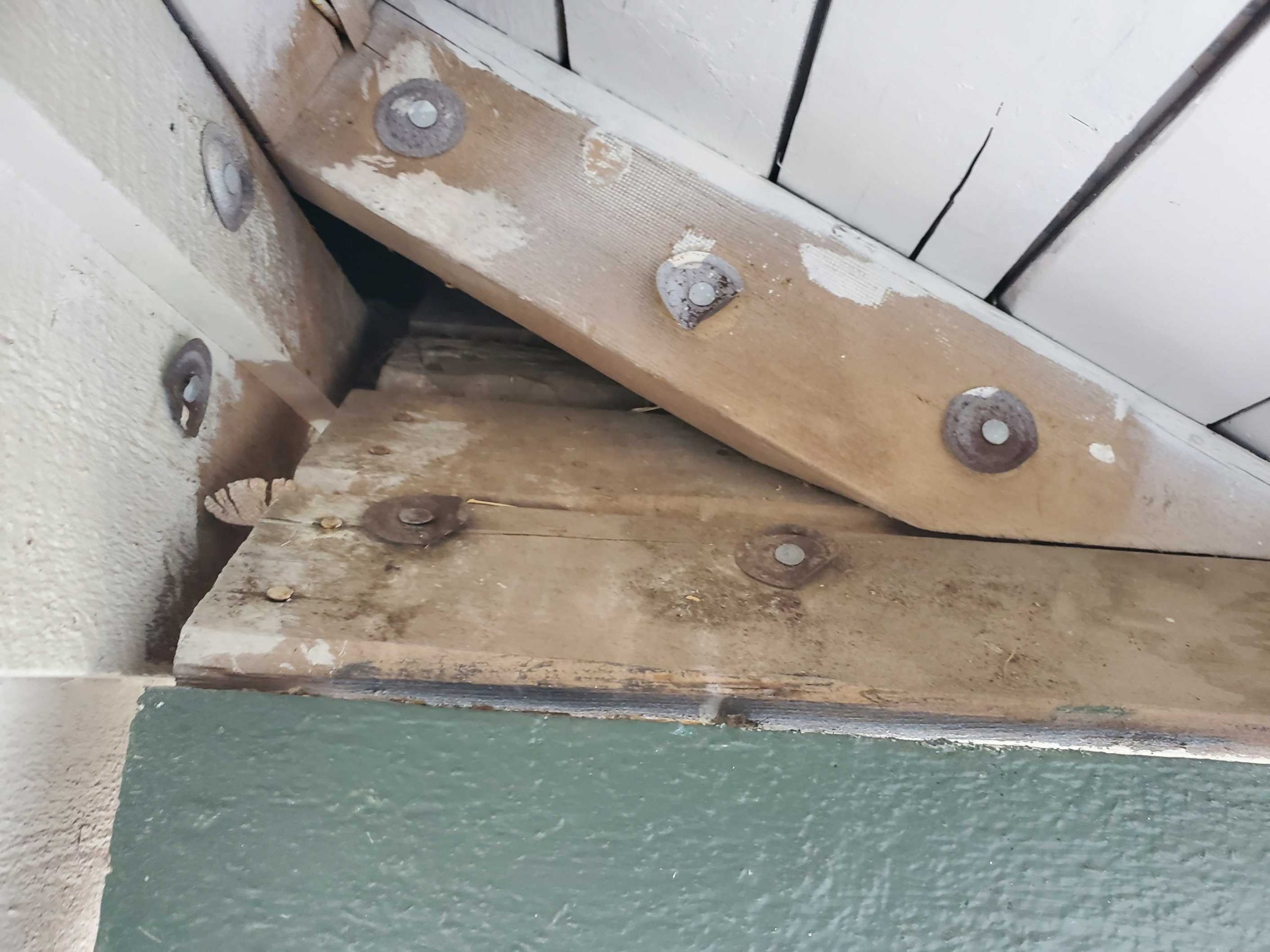 Rats mice extermination exterminators1 scaled