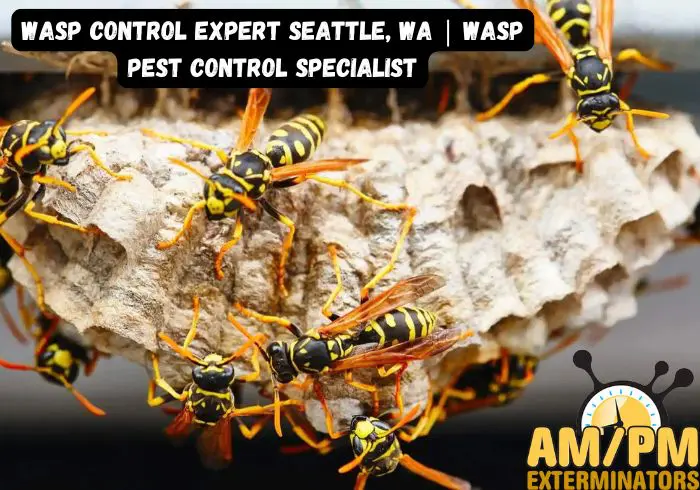 Wasp Control Expert Seattle WA Wasp Pest Control Specialist.jpg