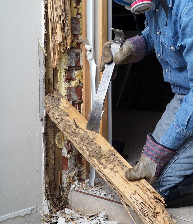 AFA6AA69A8EE4D0DBF9C6ECB5330F344 v1