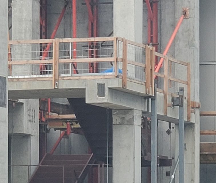 Construction Build Extermination Exterminators resized 1 e1743943082750