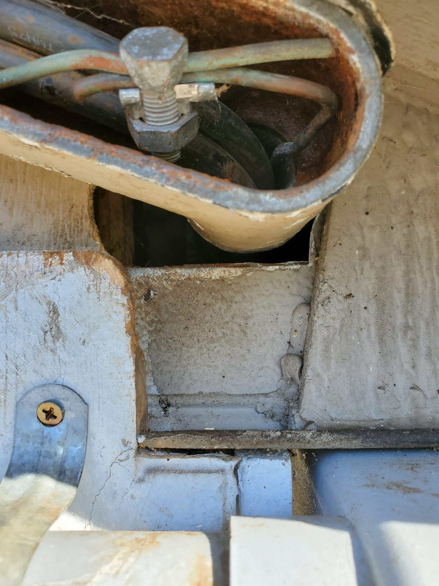 Signs of Rats in Your House Extermination 1 scaled e1732978677178