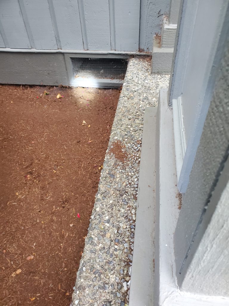 Rats house inspection extermination