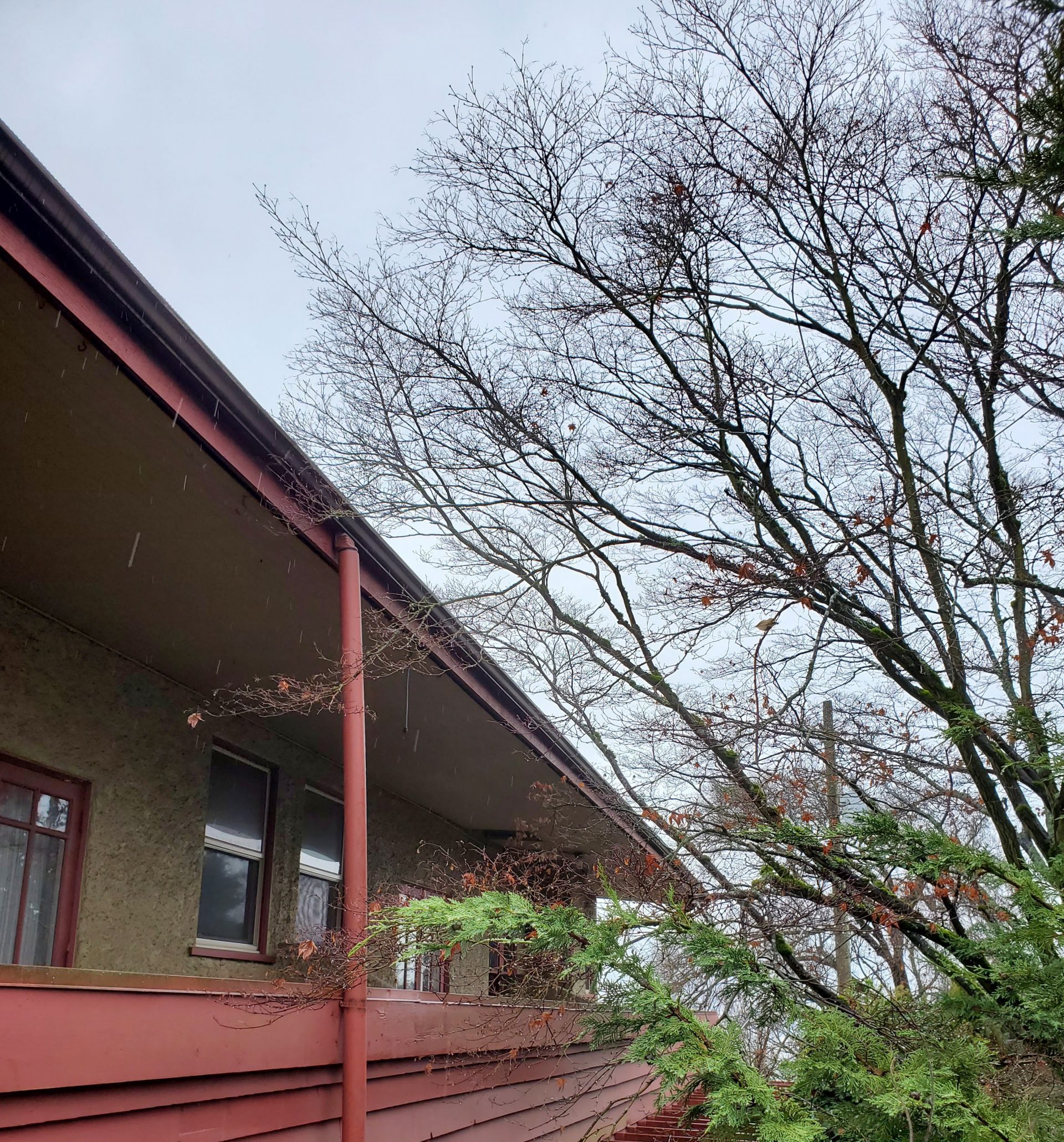 20230113 132729 scaled e1743937123328