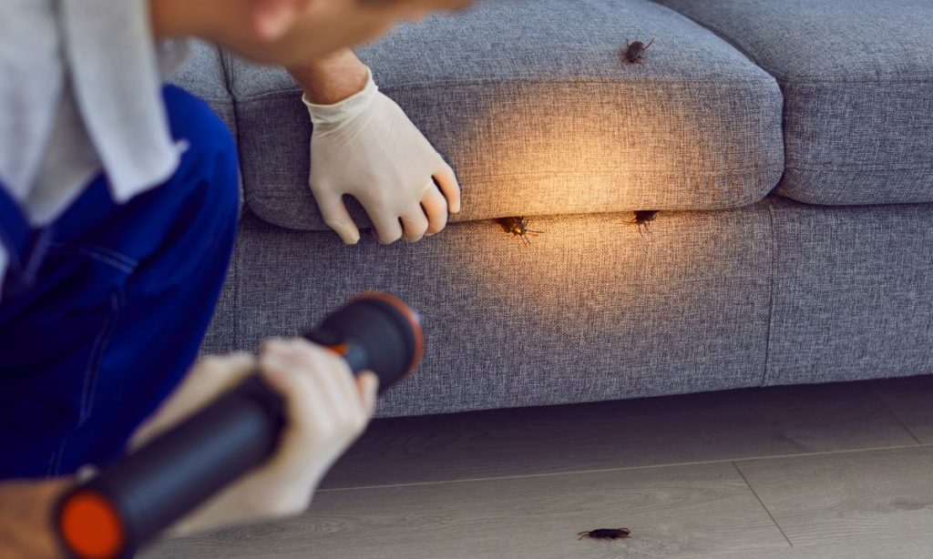 Top Pest Control Trends