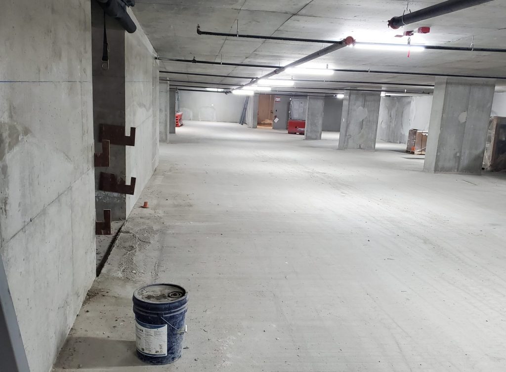 Rat extermination for businesses scaled e1744037858697