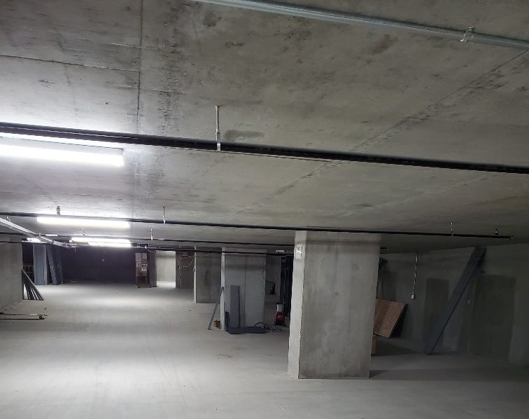 Seattle Commercial Construction Pest Control Services Expert Extermination for Building Projects 1 e1744005102229