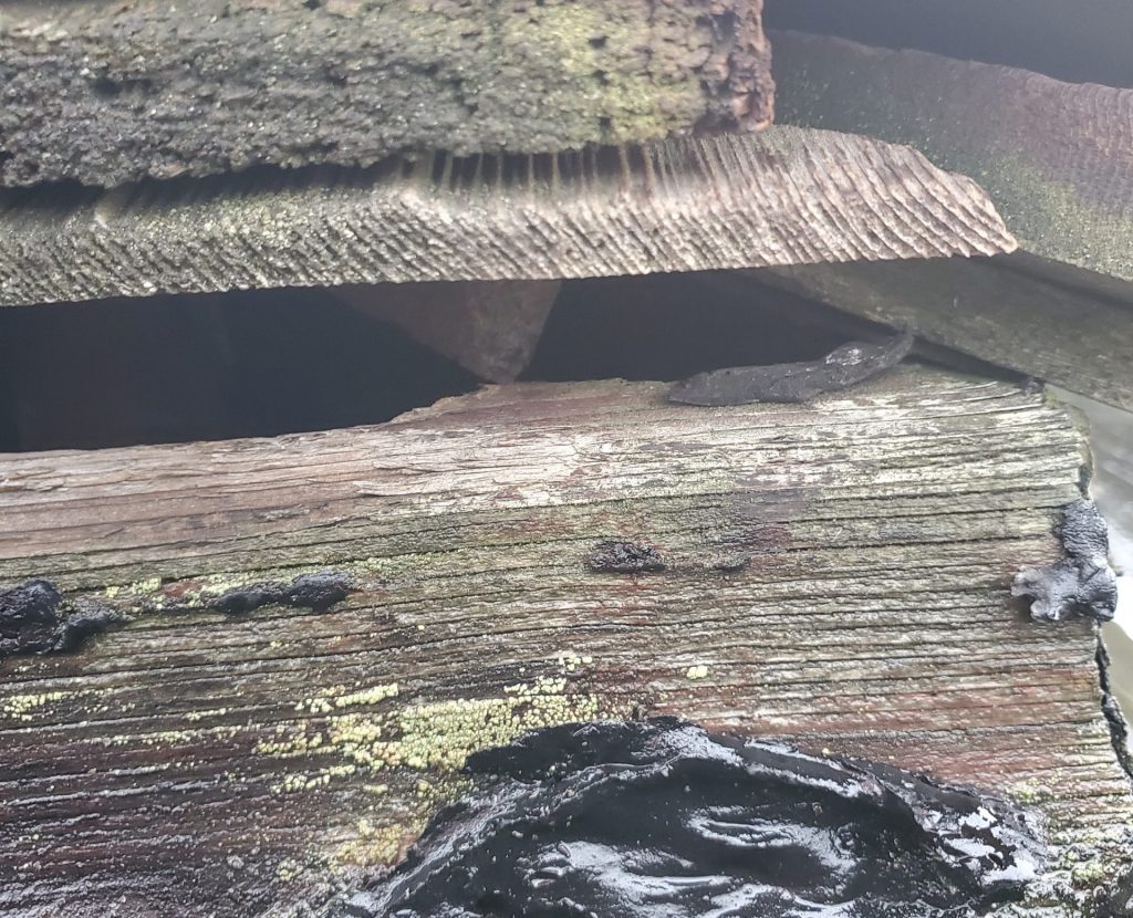 Signs of Attic Rats Problems scaled e1744014312540