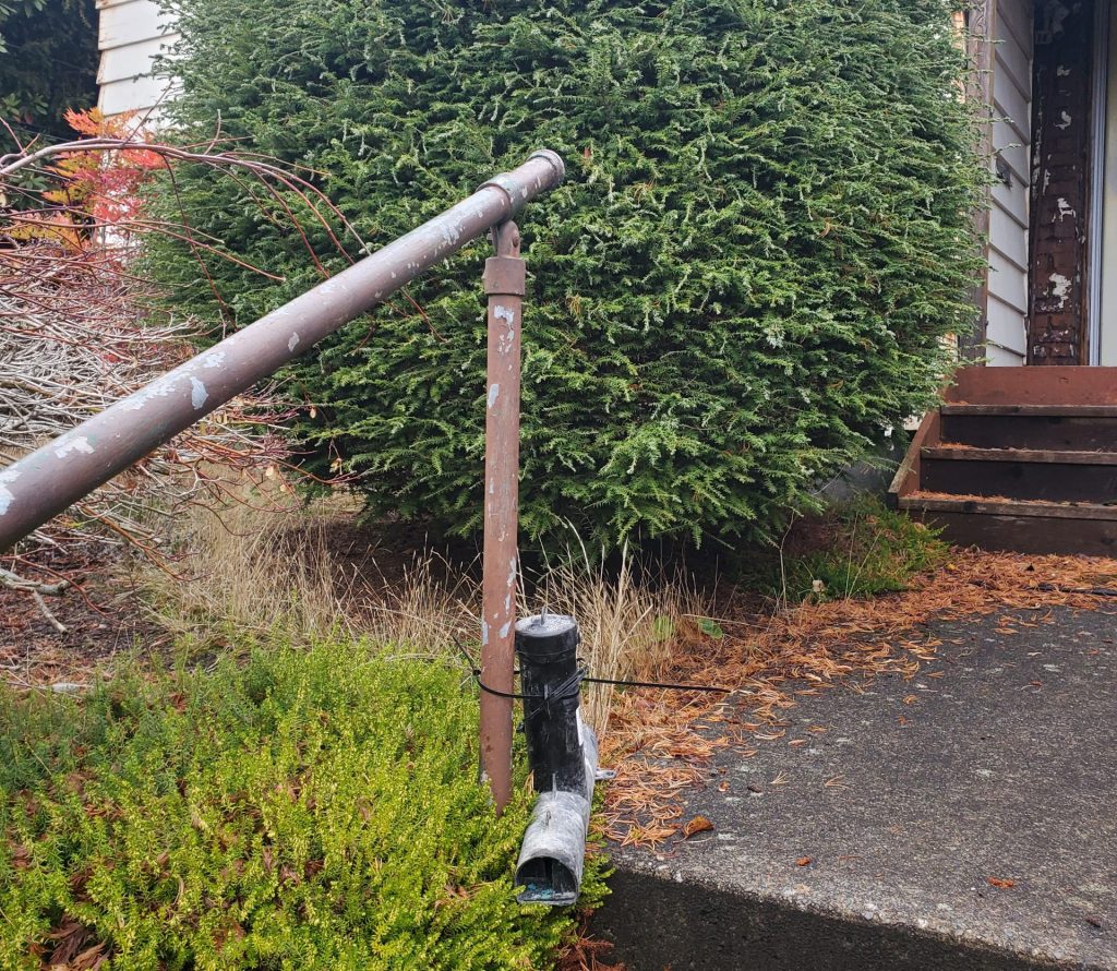 rat extermination King County scaled e1744043253681