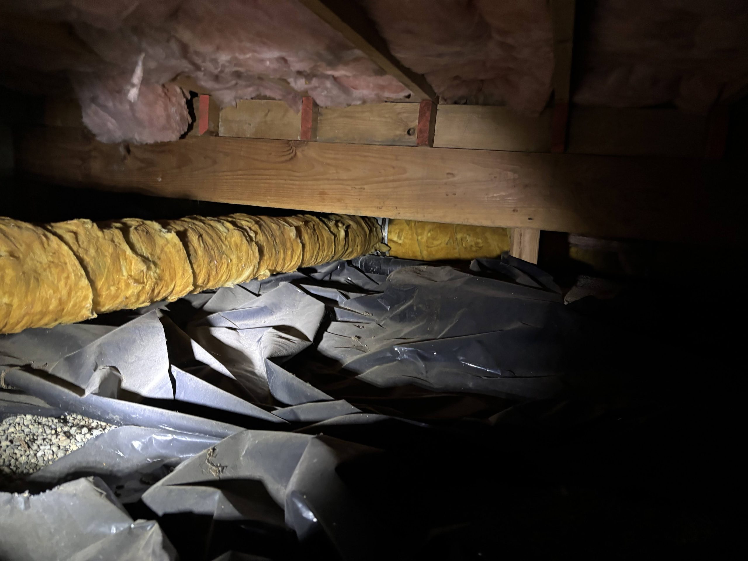 A pest control technician in protective coveralls and a headlamp examines insulation damage and rodent droppings under the floor joists of a muddy Seattle home crawlspace.
