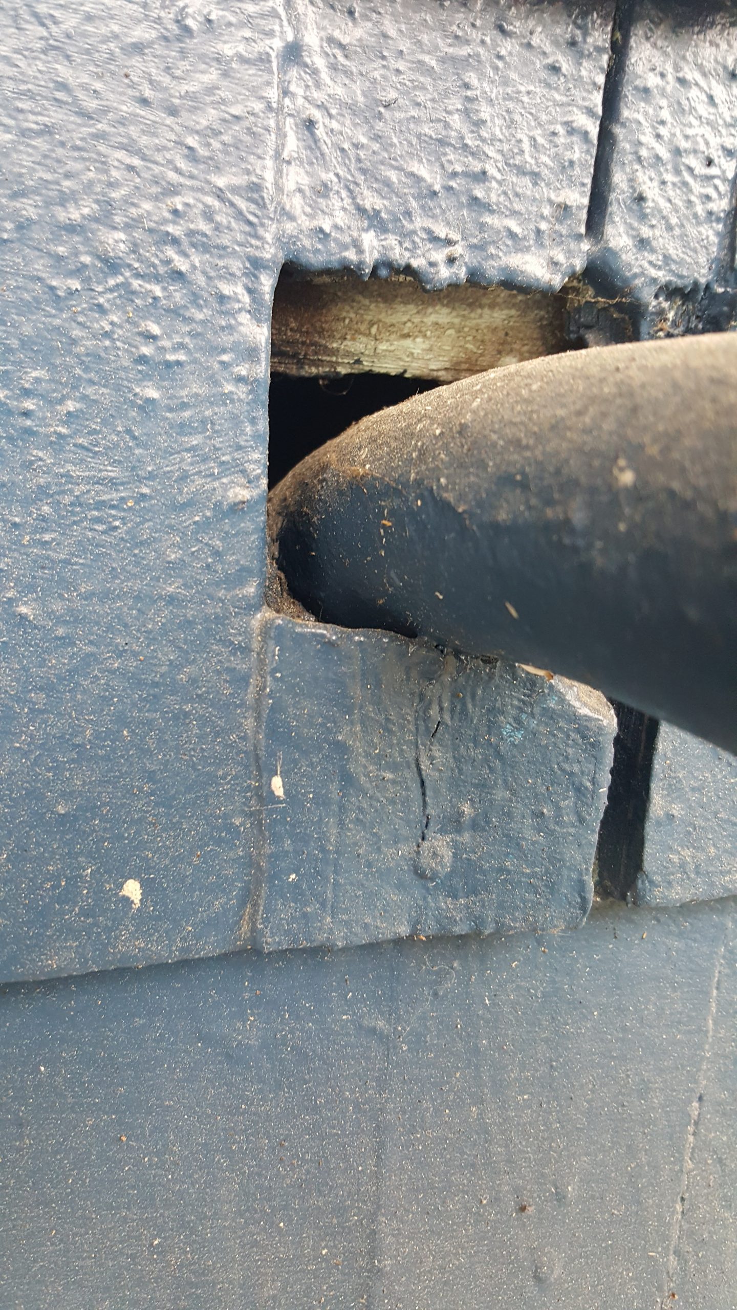 Close up view of a pest control expert pointing to gnawed gaps and grease marks around a roof vent, showing a typical rat access point into a Seattle home's attic.