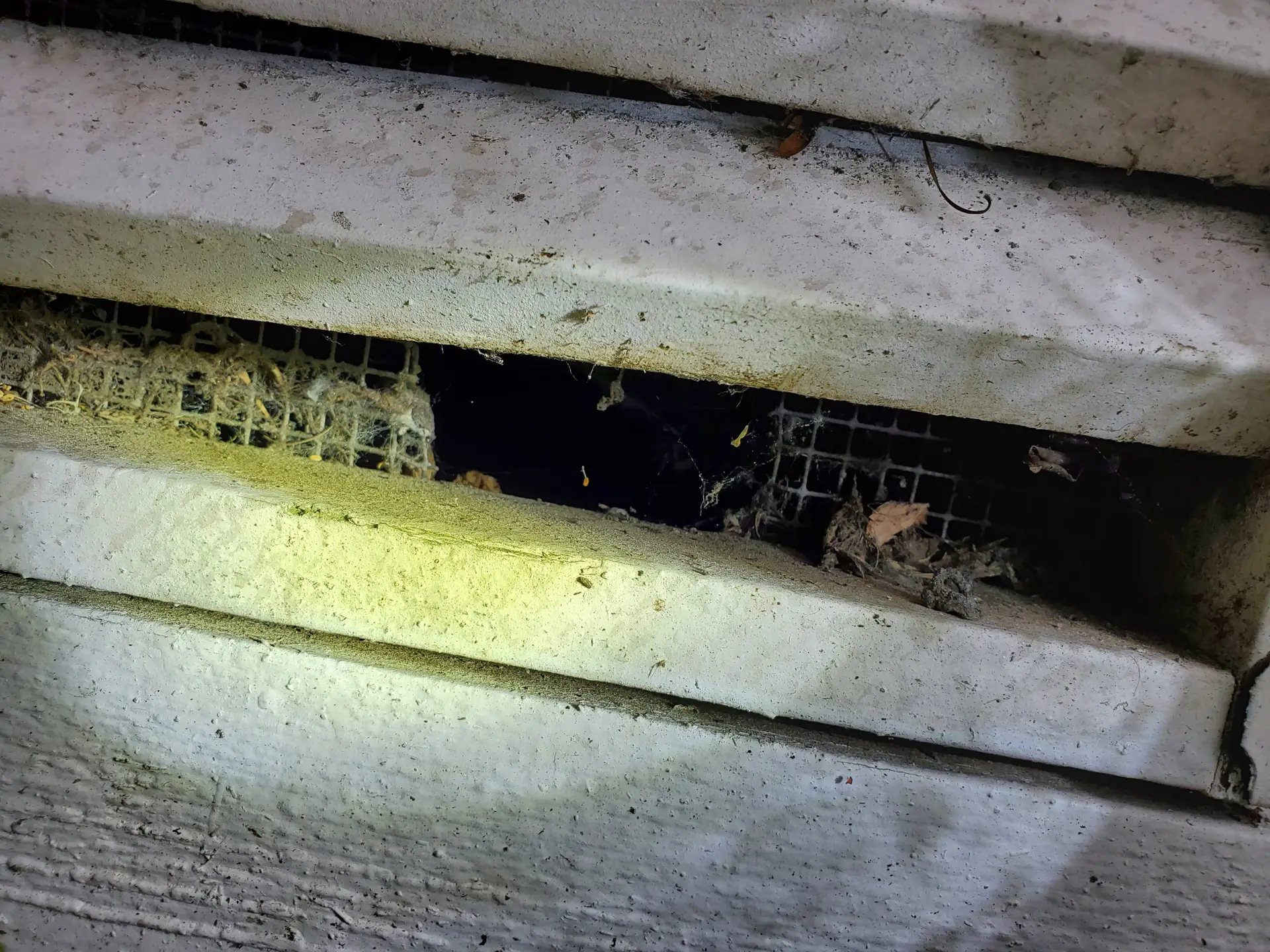 Side by side comparison showing ineffective DIY rodent traps vs. a professional exterminator's comprehensive toolbox for rat and mouse control in a Seattle area garage.